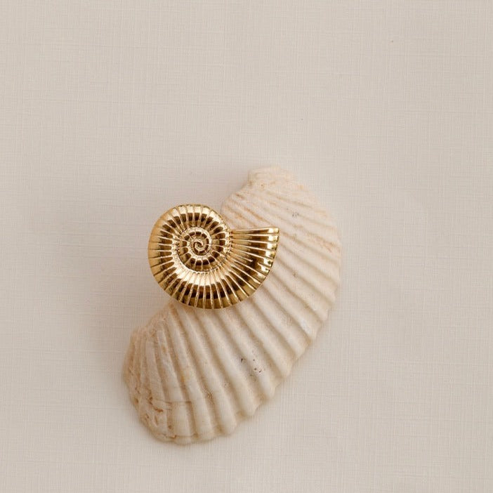 shell earrings pearl conch swirl jewelry gold