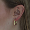 medium chunky chubby gold hoops earrings