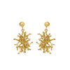 Coral Burst Earrings by Ixora Jewelers